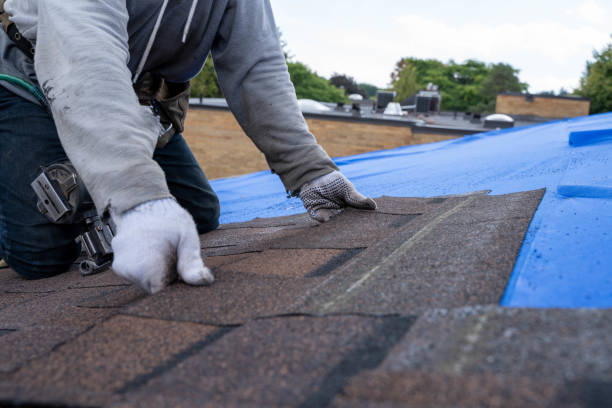 Best Storm Damage Roof Repair  in Pines Lake, NJ